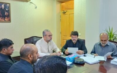 PDWP Meeting on Federal Projects Chaired by ACS (DEV:), Hafiz Abdul Basit.