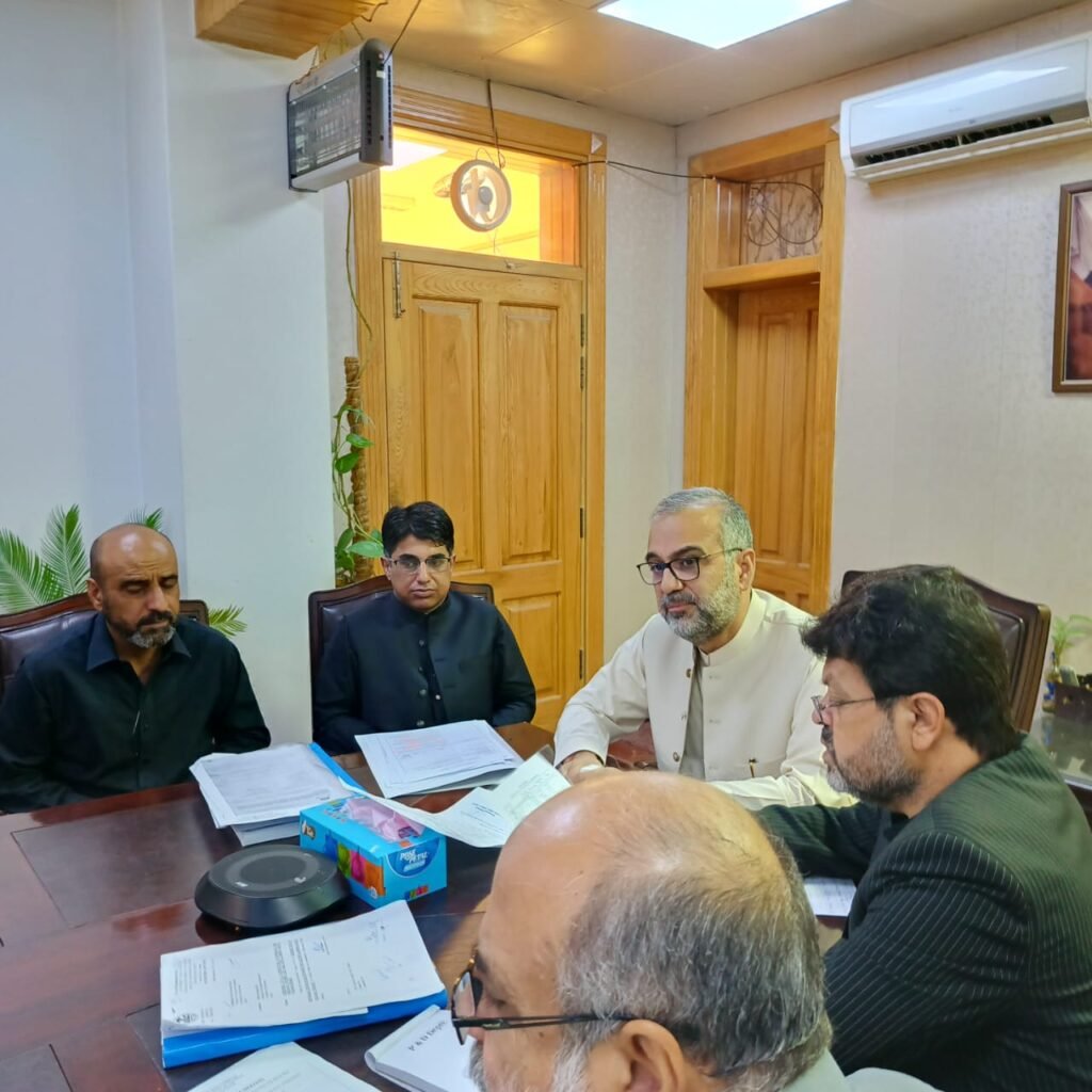 PDWP meeting regarding Federal Projects Dated 24 sept 2024 5 PDWP Meeting on Federal Projects Chaired by ACS (DEV:), Hafiz Abdul Basit.