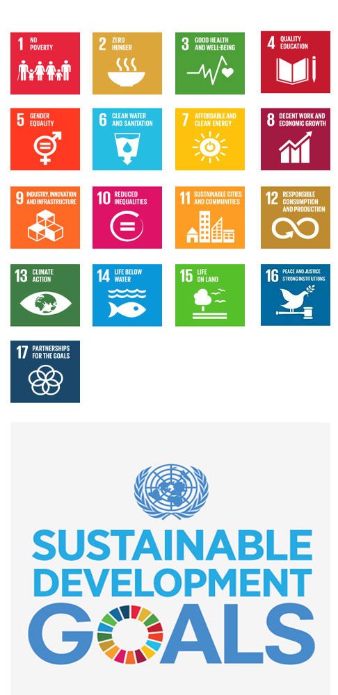 sdgicon sdgs